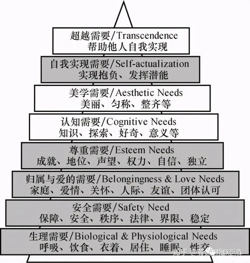 工作目的 從“止痛藥”到“保健藥”——非融資性擔(dān)保業(yè)務(wù)的雙重角色
